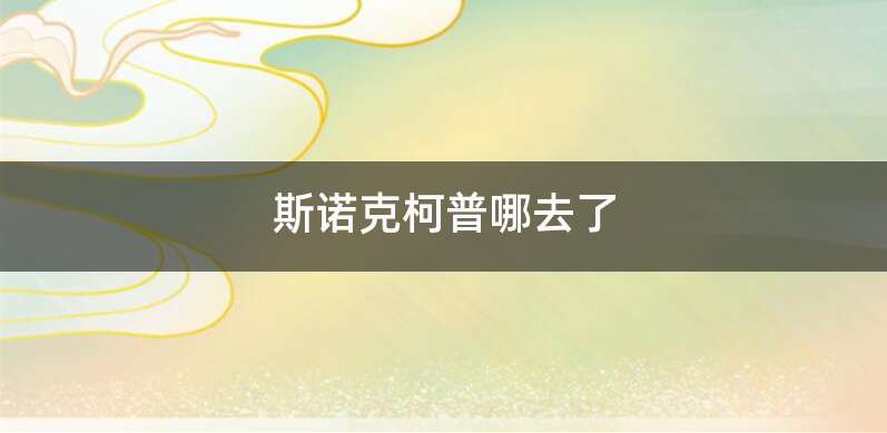 斯诺克柯普哪去了