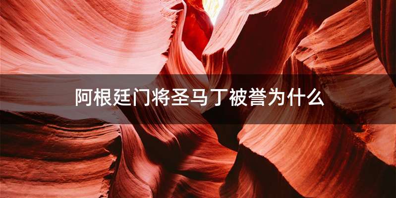 阿根廷门将圣马丁被誉为什么