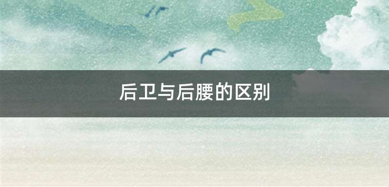 后卫与后腰的区别