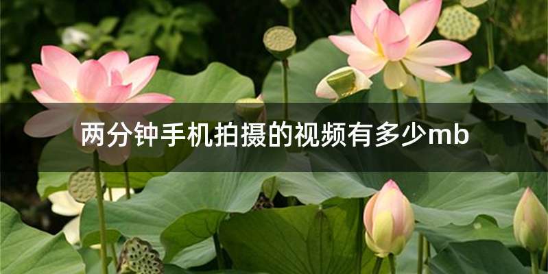 两分钟手机拍摄的视频有多少mb