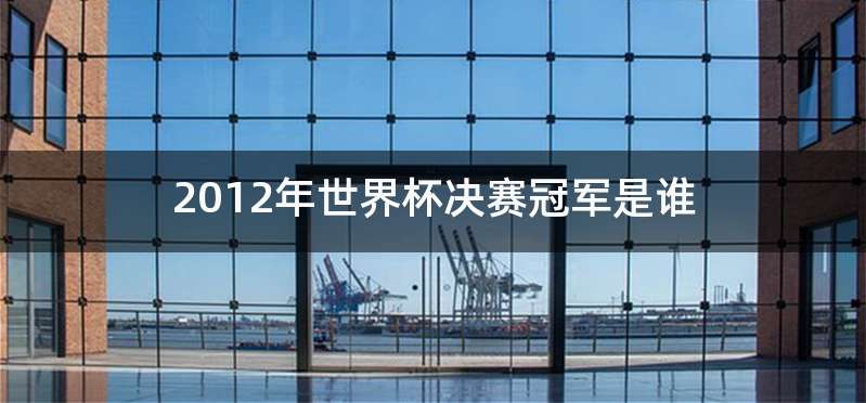 2012年世界杯决赛冠军是谁