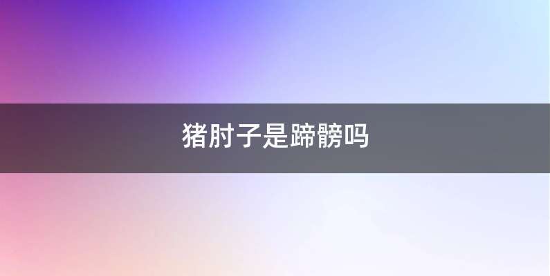 猪肘子是蹄髈吗