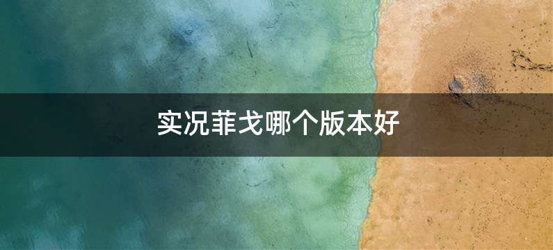 实况菲戈哪个版本好