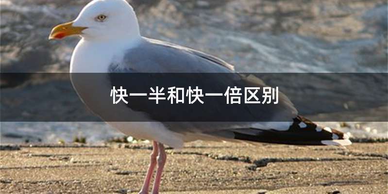 快一半和快一倍区别