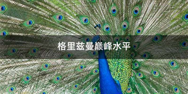 格里兹曼巅峰水平