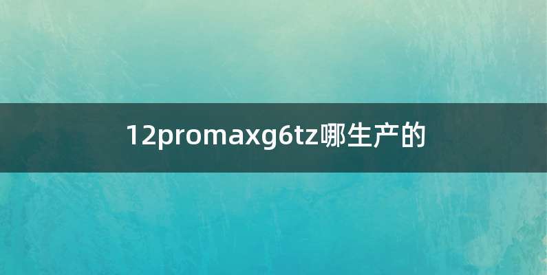 12promaxg6tz哪生产的
