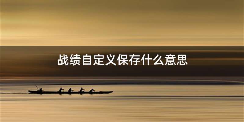 战绩自定义保存什么意思