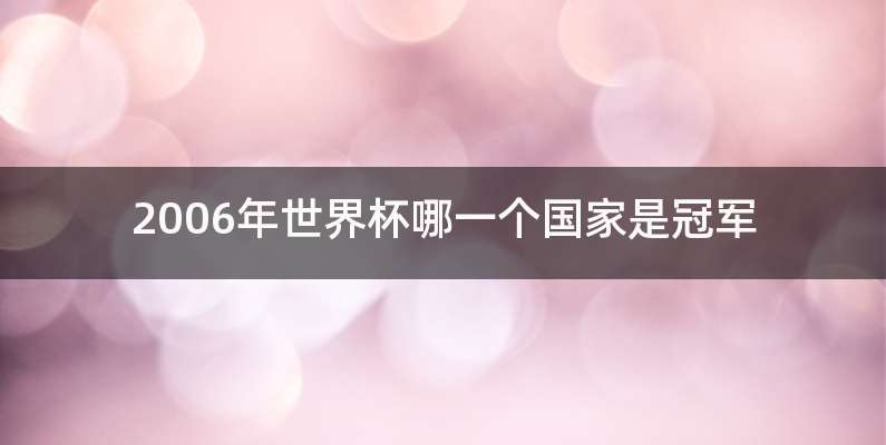 2006年世界杯哪一个国家是冠军