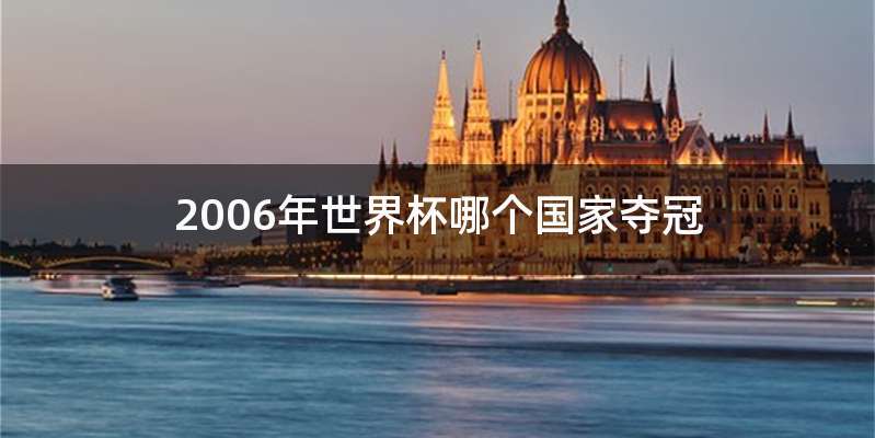 2006年世界杯哪个国家夺冠