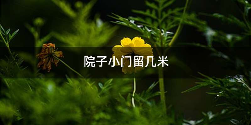 院子小门留几米