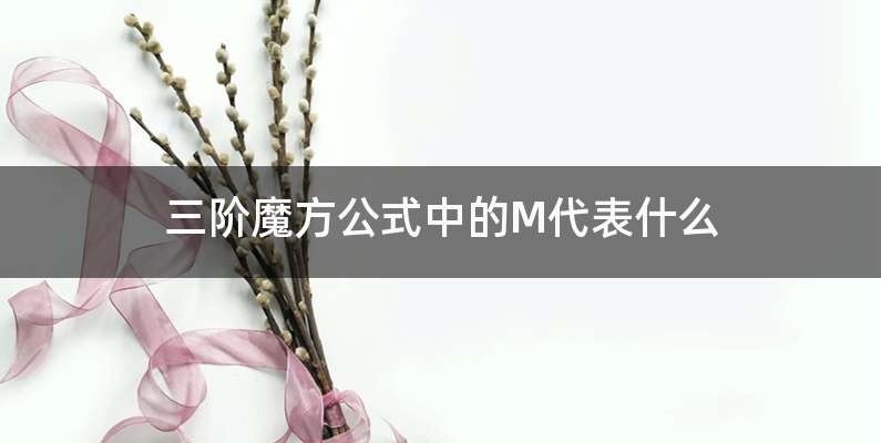 三阶魔方公式中的M代表什么