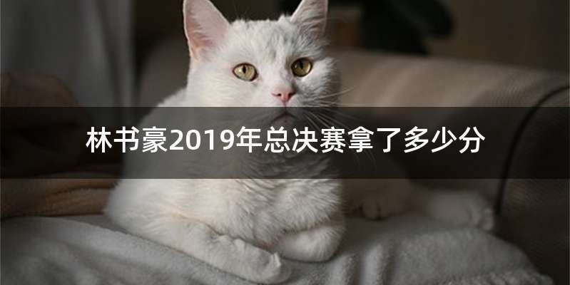 林书豪2019年总决赛拿了多少分