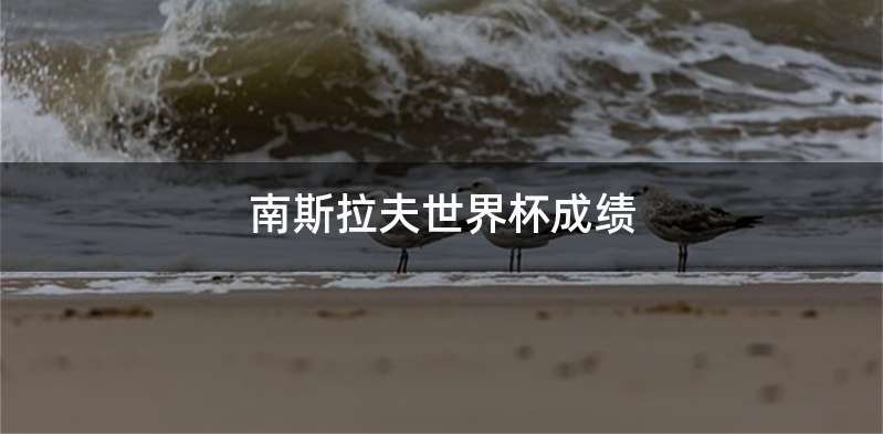 南斯拉夫世界杯成绩