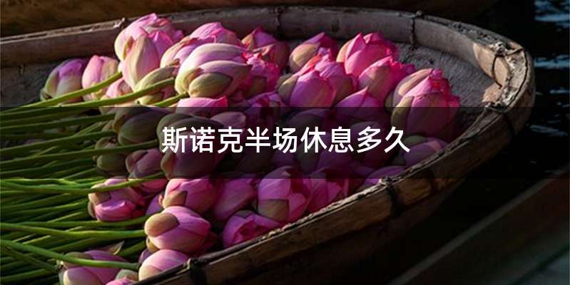 斯诺克半场休息多久