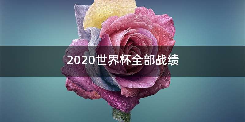2020世界杯全部战绩