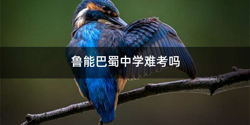 鲁能巴蜀中学难考吗