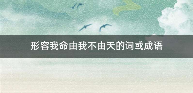 形容我命由我不由天的词或成语