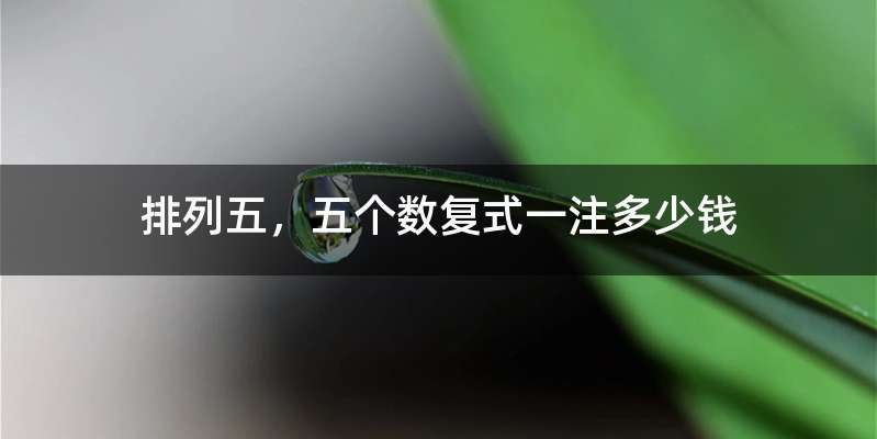 排列五，五个数复式一注多少钱