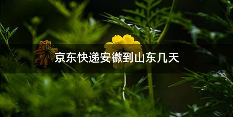 京东快递安徽到山东几天