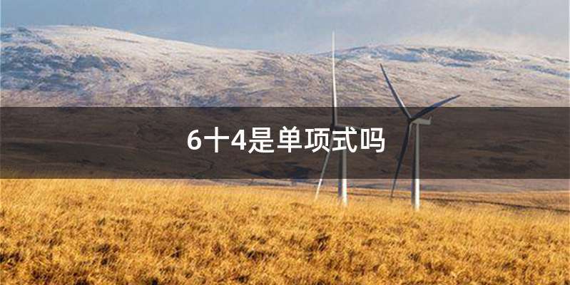 6十4是单项式吗