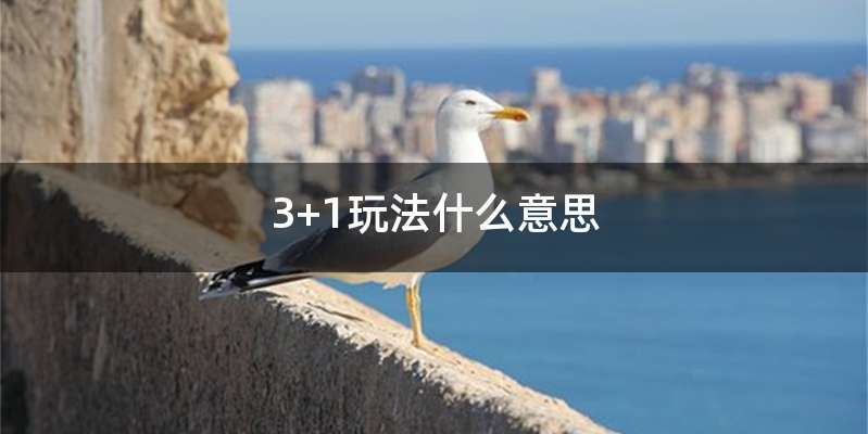 3+1玩法什么意思