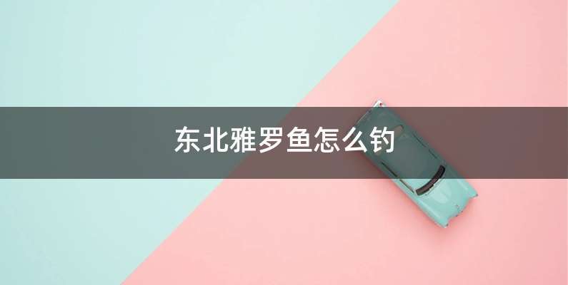 东北雅罗鱼怎么钓