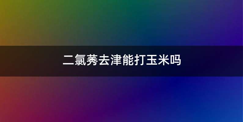 二氯莠去津能打玉米吗