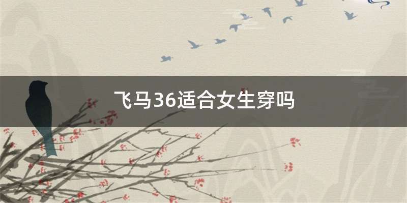 飞马36适合女生穿吗