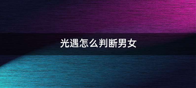光遇怎么判断男女
