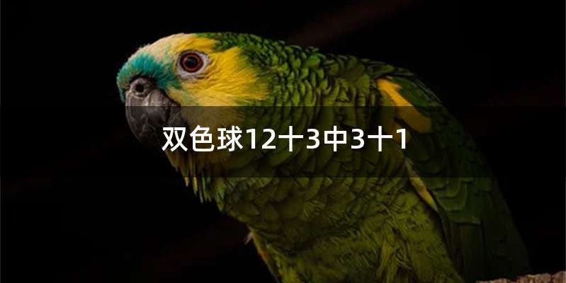 双色球12十3中3十1