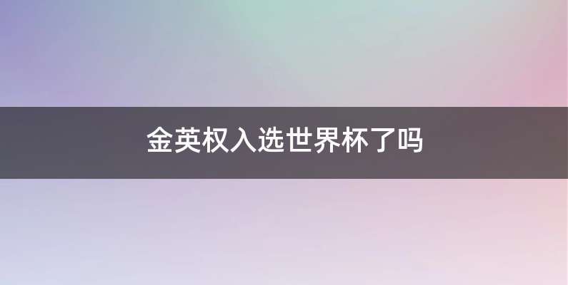 金英权入选世界杯了吗