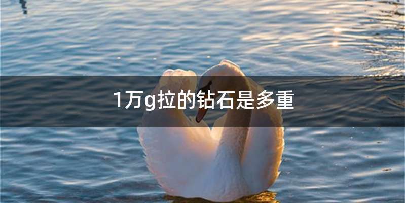 1万g拉的钻石是多重