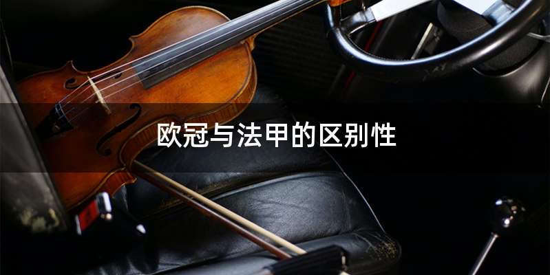 欧冠与法甲的区别性