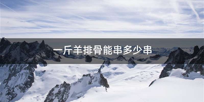 一斤羊排骨能串多少串