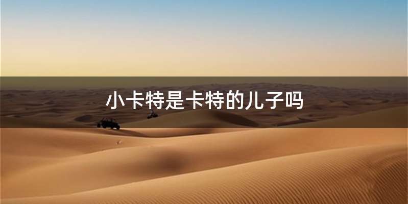 小卡特是卡特的儿子吗