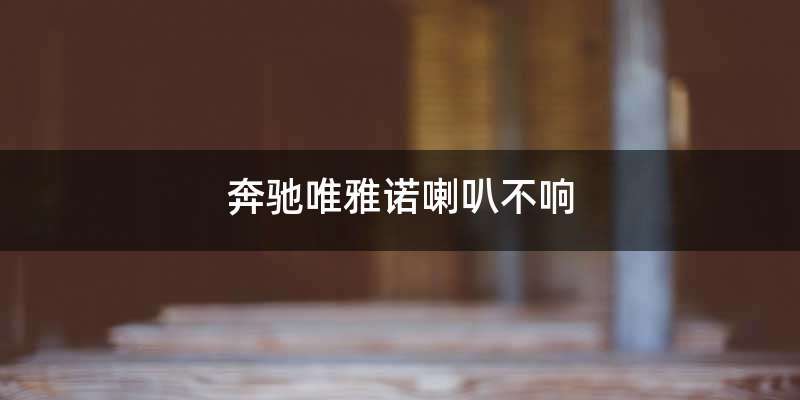 奔驰唯雅诺喇叭不响