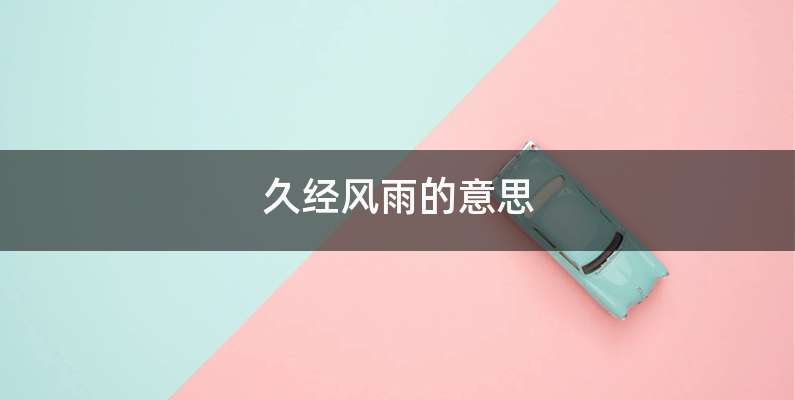 久经风雨的意思