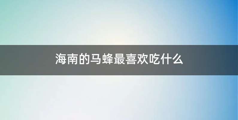 海南的马蜂最喜欢吃什么
