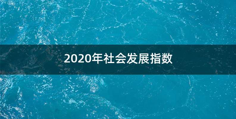 2020年社会发展指数
