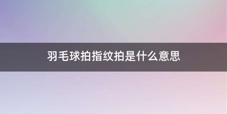羽毛球拍指纹拍是什么意思