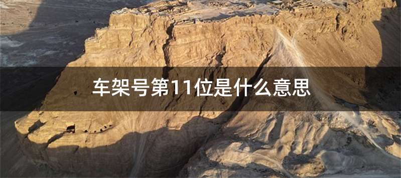 车架号第11位是什么意思