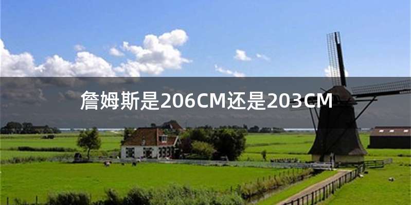 詹姆斯是206CM还是203CM