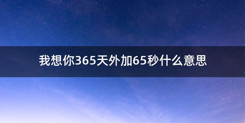 我想你365天外加65秒什么意思