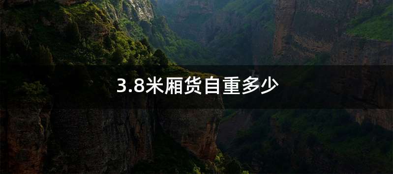 3.8米厢货自重多少