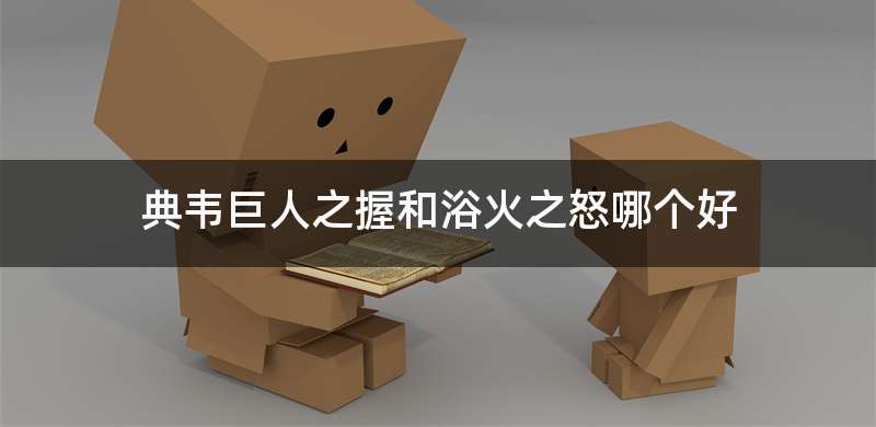 典韦巨人之握和浴火之怒哪个好