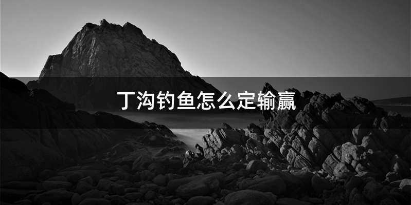丁沟钓鱼怎么定输赢