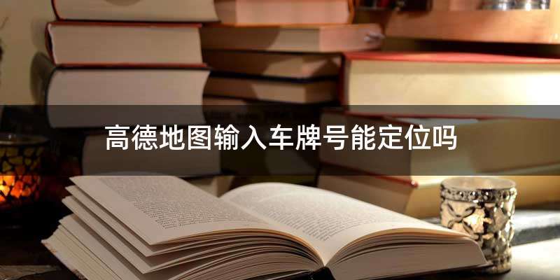 高德地图输入车牌号能定位吗