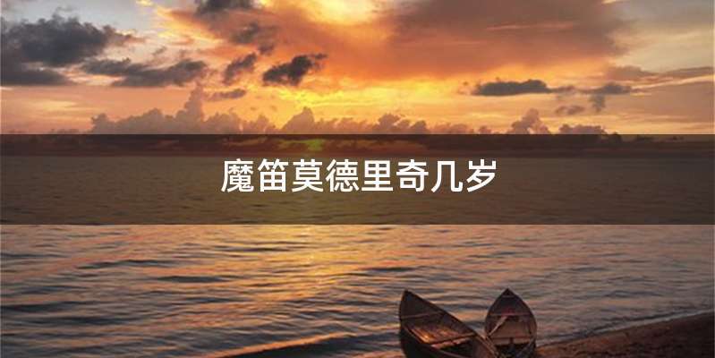 魔笛莫德里奇几岁