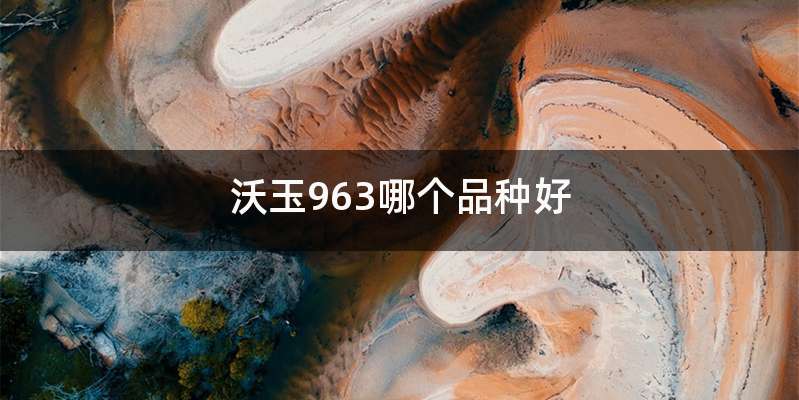 沃玉963哪个品种好