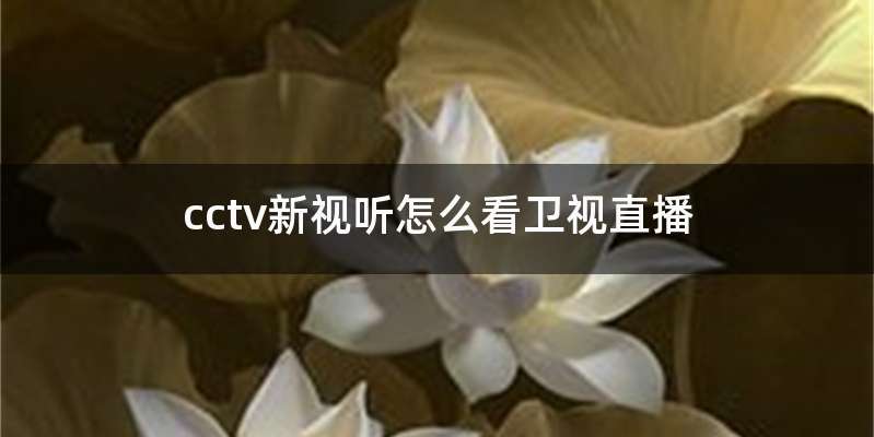 cctv新视听怎么看卫视直播